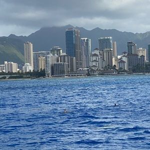 Meet your Posher, Gaby